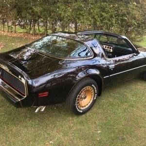 Meet your Posher, Louie